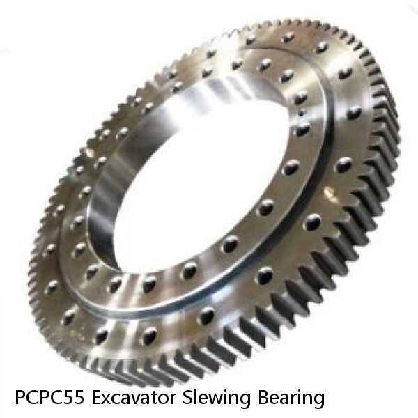 PCPC55 Excavator Slewing Bearing