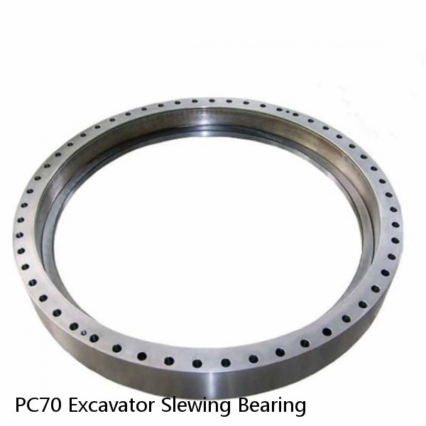 PC70 Excavator Slewing Bearing