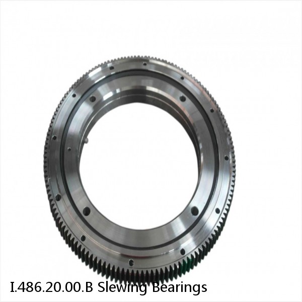 I.486.20.00.B Slewing Bearings