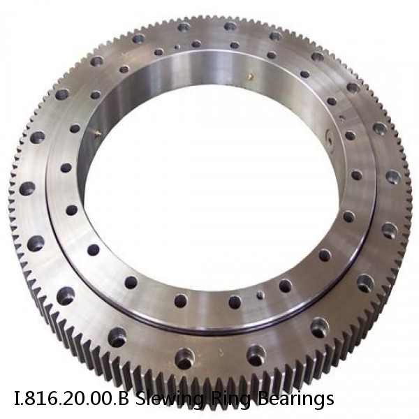 I.816.20.00.B Slewing Ring Bearings