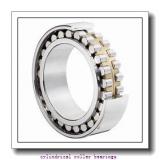 1.969 Inch | 50 Millimeter x 3.15 Inch | 80 Millimeter x 0.63 Inch | 16 Millimeter  NSK NU1010M  Cylindrical Roller Bearings