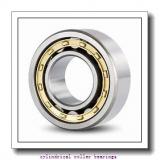 120 x 12.205 Inch | 310 Millimeter x 2.835 Inch | 72 Millimeter  NSK NJ424M  Cylindrical Roller Bearings