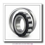 1.772 Inch | 45 Millimeter x 2.953 Inch | 75 Millimeter x 0.906 Inch | 23 Millimeter  NSK NN3009TBKRE44CC1P4  Cylindrical Roller Bearings