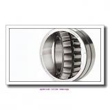 95 mm x 170 mm x 43 mm  FAG 22219-E1-K  Spherical Roller Bearings